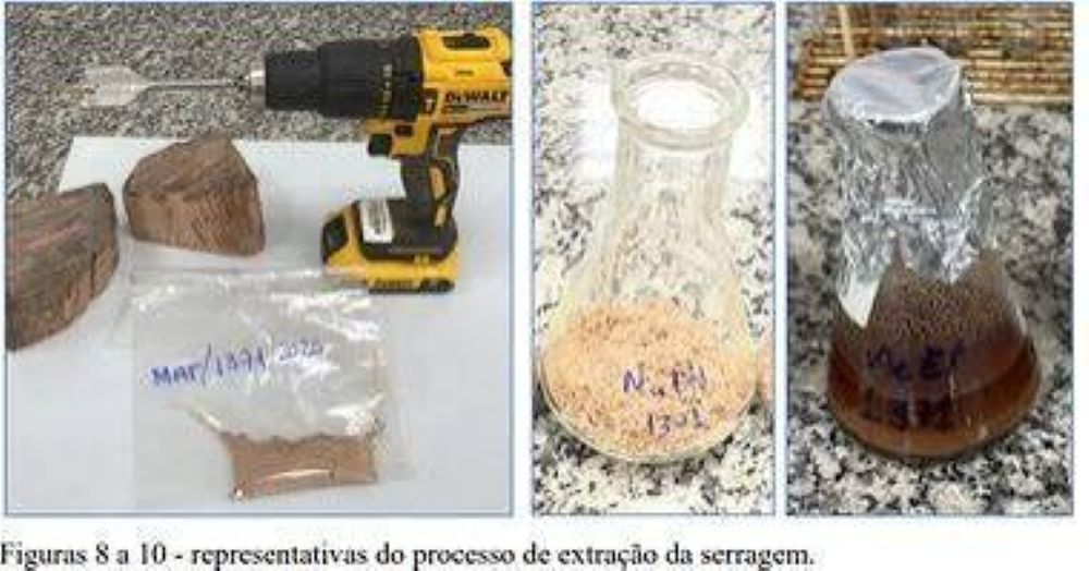 Perícia descarta droga em carga de 260 toneladas de madeira