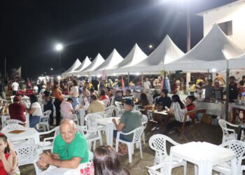 Expo Abacaxi tem programação com feira e esportes em Novo Remanso