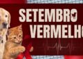Setembro Vermelho faz alerta sobre saude do coracao de caes e gatos