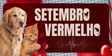 Setembro Vermelho faz alerta sobre saude do coracao de caes e gatos