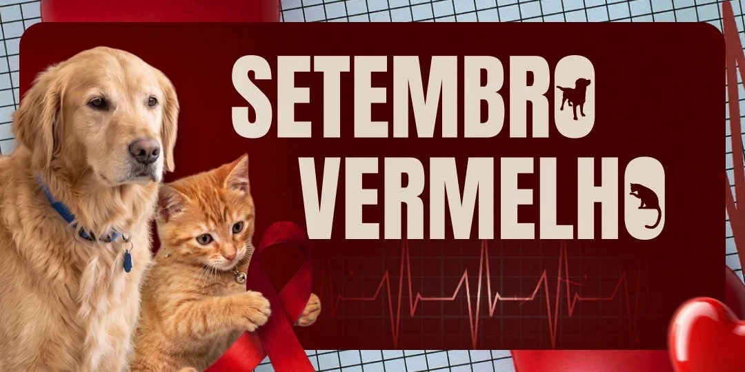 Setembro Vermelho faz alerta sobre saude do coracao de caes e gatos