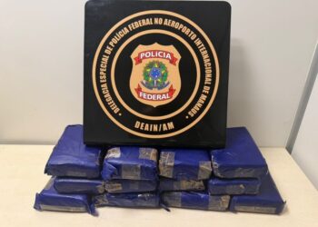 Passageira é presa com 12 kg de skunk no Aeroporto de Manaus