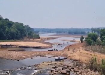 Rio Solimões recua 1,34 metro em uma semana em Manacapuru
