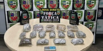 Ação da PM apreende 6,5 kg de drogas no bairro São Francisco, em Manaus